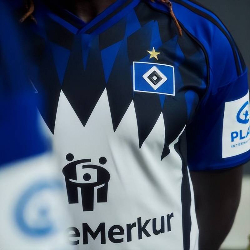 米兰APP下载-汉堡SV阵中外援出彩,带领球队获胜的简单介绍