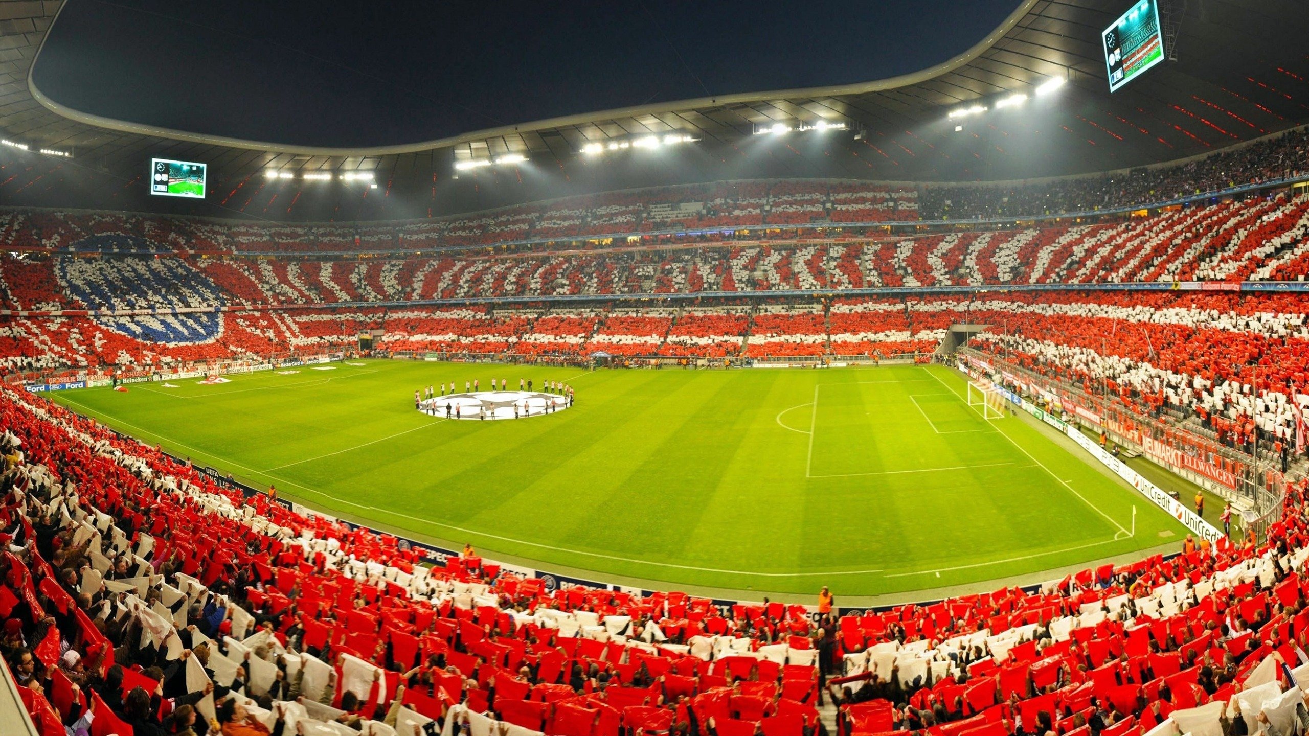 霍勒迪的节拍器，当太阳被调至鹈鹕的频道